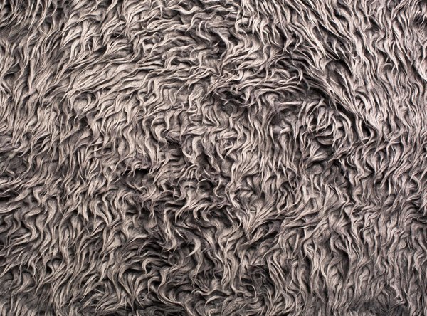 Pourquoi opter pour les faux écarteurs ?