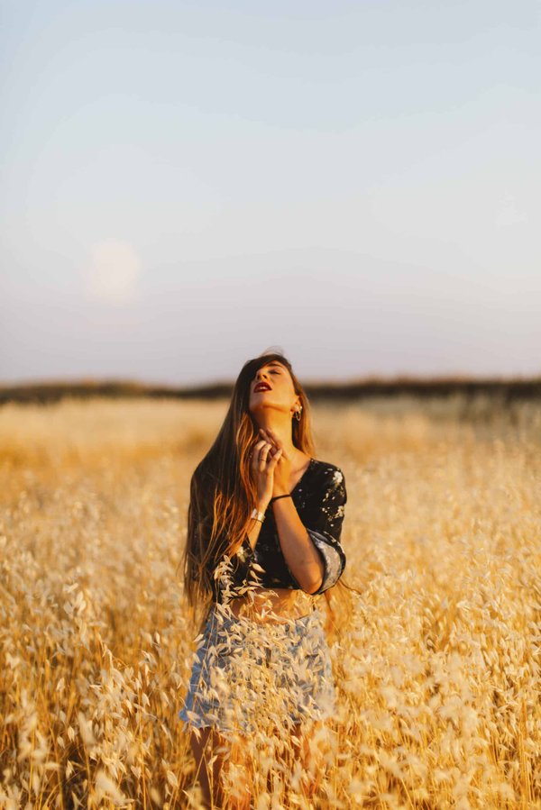 Quels sont les différents modèles de cache-oreilles disponibles sur le marché ?